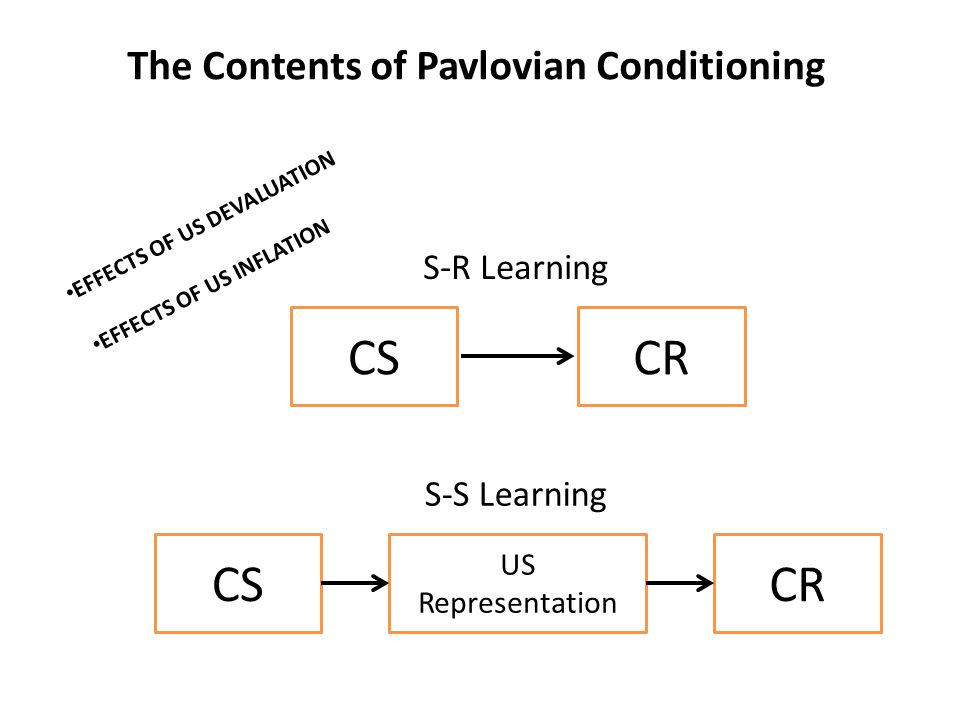 pavlovian learning model